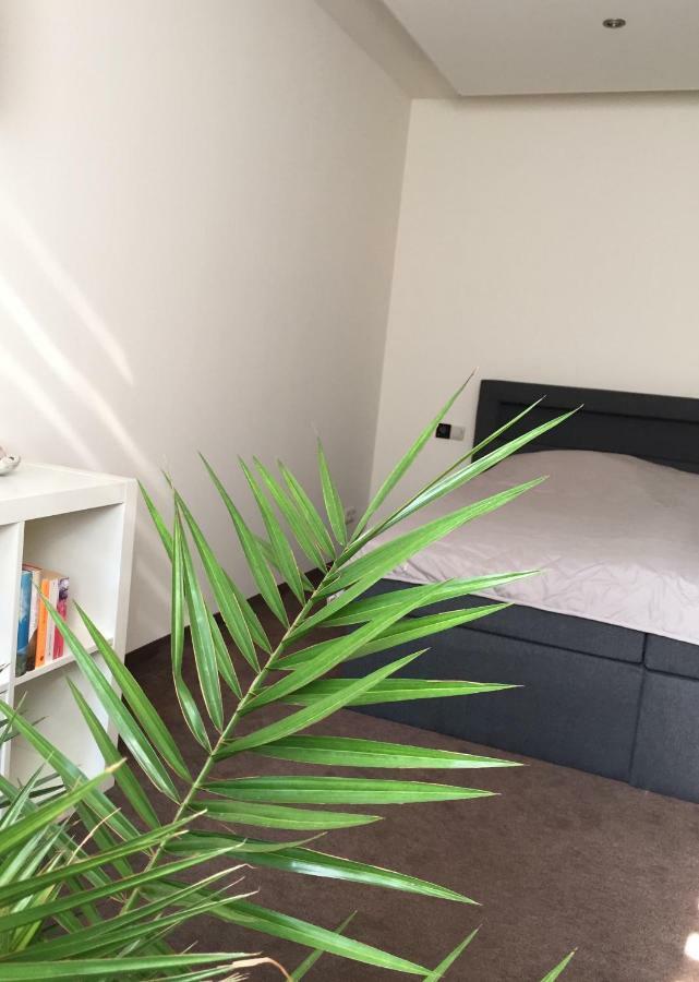 Appartement „blaues Schild“ Dorndorf